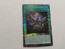 Black Rose Garden DOOD-EN055 Starlight Rare 1st Edition NM Yugioh