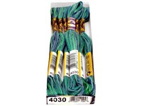 Dmc Color Variations Variegated Floss 4030 on sale Dmc Color Variations Variegated Floss 4030 on sale