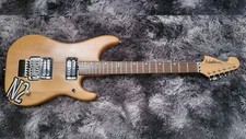 Washburn N2 Upgraded