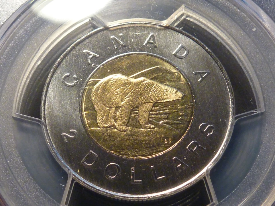 GEM: 2003 New Efiigy (no crown) business strike $2 PCGS MS-66 Gold Shield - Image 3 of 4