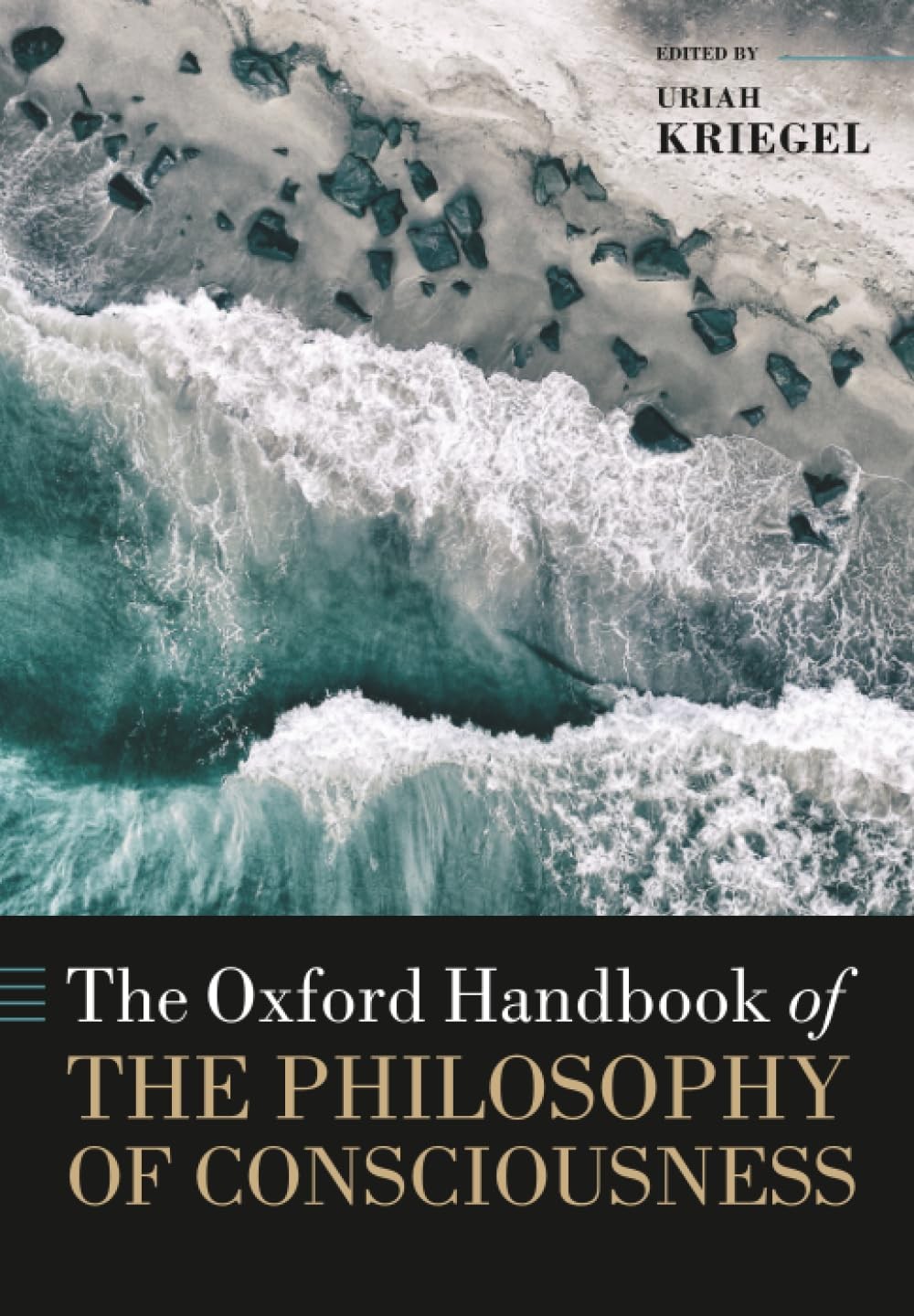 The Oxford Handbook of the Philosophy of Consci. Kriegel** - Image 4