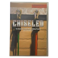 Chiseled Muscle Building Series 2 DVD Resistance Bands Workout