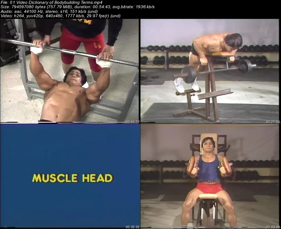 Secrets of Successful Bodybuilding starring Danny Padilla (13 DVD Set) - Image 2 of 4