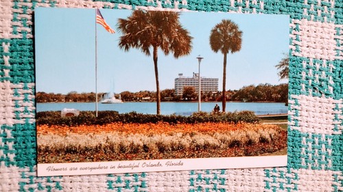 VINTAGE POSTKARTE BLUMEN IM SCHÖNEN ORLANDO FLORIDA. - Bild 8 von 14