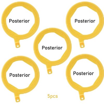 5PCS Dental X-Ray Aiming Ring Dental Sensor Holder Posterior Positioning Ring