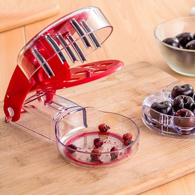 Small Stone Seed Remover Cherry Olive Pits Tool Kitchen Corer Fruit Core Stoner Ebay