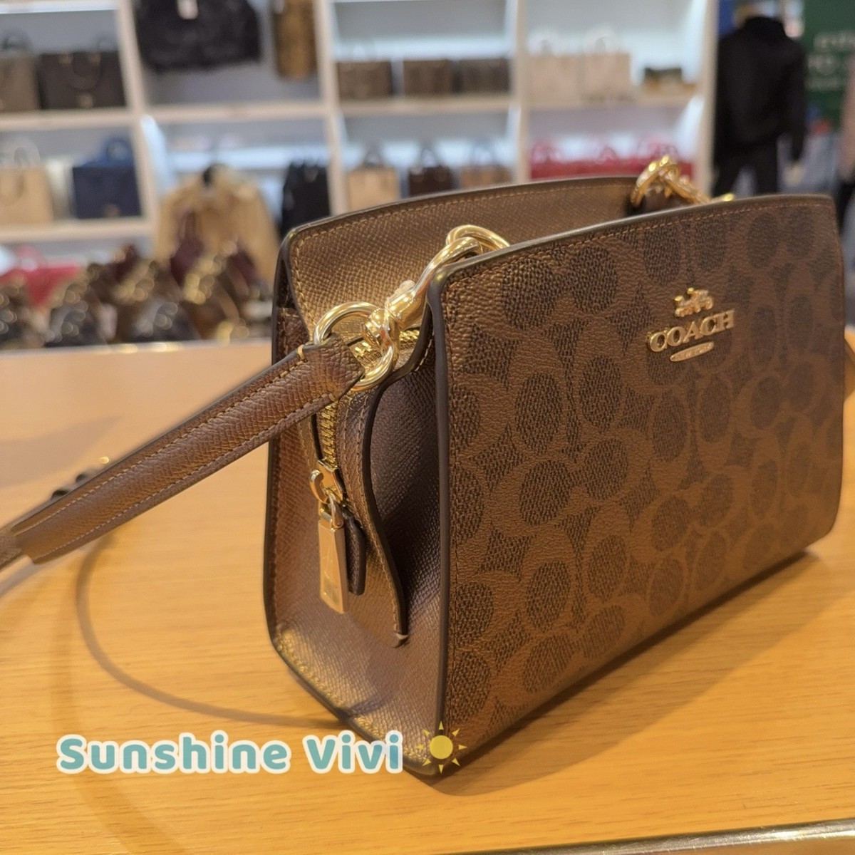 NWT Coach Gia Crossbody Bag In Signature Canvas CCK70 BROWN/COPPER