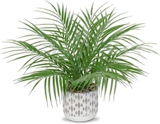 Artificial potted palm plant indoor decor