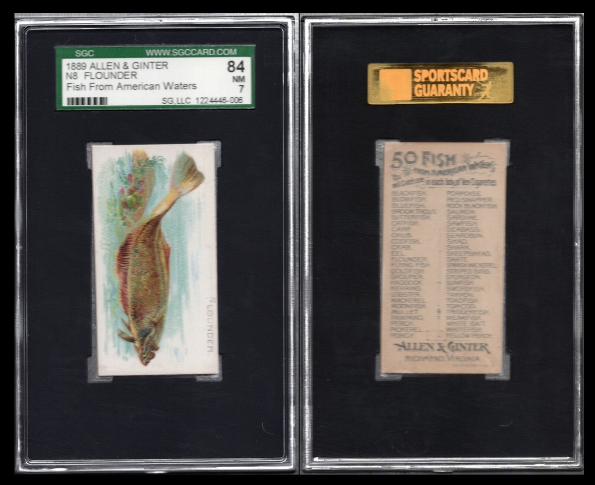 1889 N8 ALLEN & GINTER FISH FROM AMERICAN WATERS 