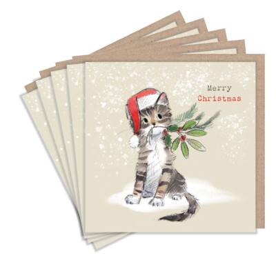 Weihnachtskarten 5er Pack Festlich Tabby Kätzchen - Niedliche Katze Haustierliebhaber Weihnachtskarten