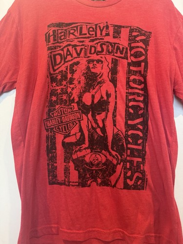 2 Harley-Davidson Shirts Mens Graphic Size L Biker New Jersey Pasadena Texas - Picture 3 of 13