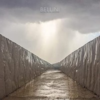 Bellini - Before The Day Has Gone - Vinyl Record Vl - E3447Z