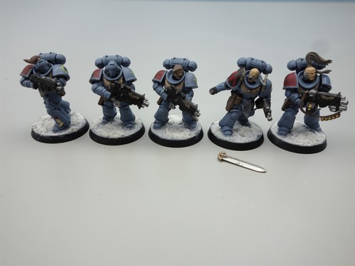 Warhammer 40K Space Wolves Marines - Primaris Intercessors (painted) - Picture 3 of 4