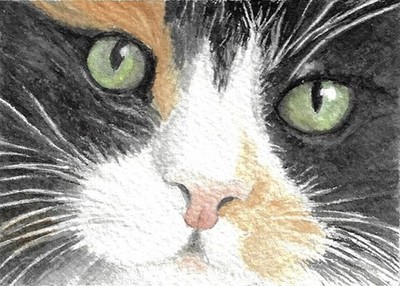 ACEO - ATC Calico Cat PRINT of my Original Watercolor ''Tiger Lily'' 2.5 x 3.5