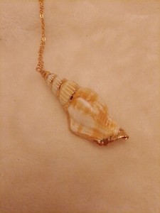 Authentic Gold Plated Conch Shell Necklace, For her, Shell Necklace
