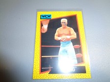 WCW WORLD CHAMPIONSHIP WRESTLING 1991 TRADING CARD #10 STING