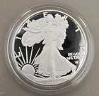 2022-W American Silver Eagle