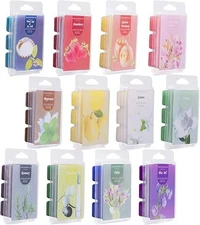 Scented Soy Wax Melts - Set of 12 Assorted 2.5oz Wax Cubes/Tarts - Bulk Value Ho