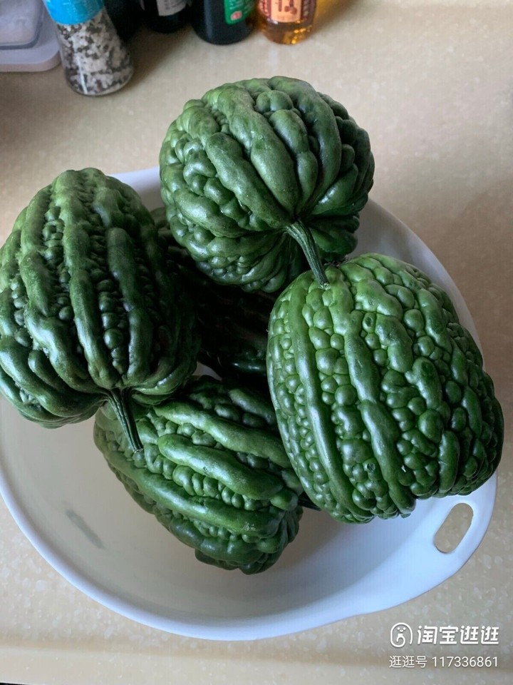 2 x Round Bitter Melon plug plants /Bitter Gourd 舌尖上的中国推荐正宗大顶苦瓜种苗2棵 eBay