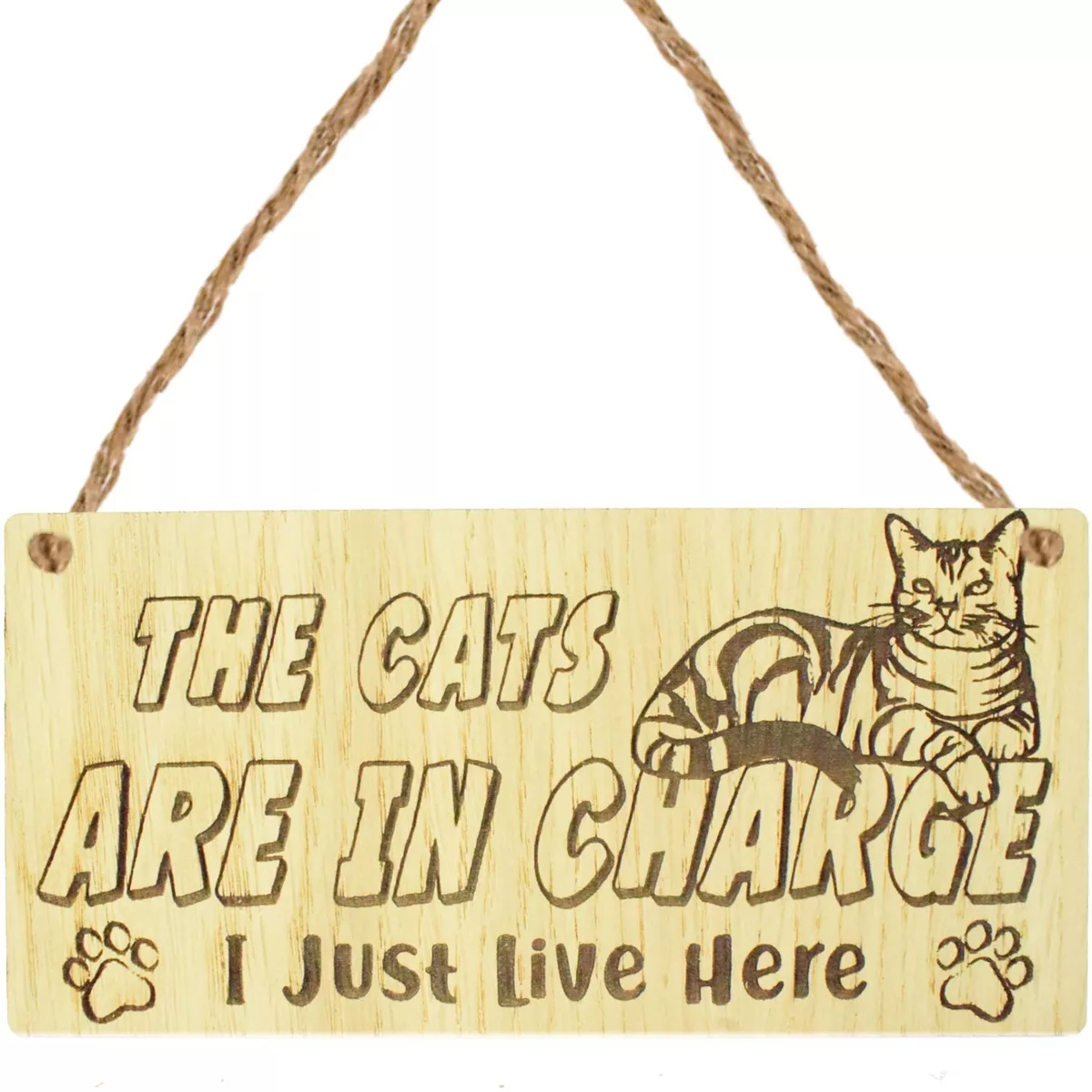 Funny cat cheap themed gifts