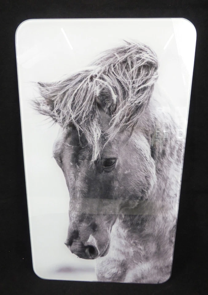 1x Wenko 53991800 Glass Hob Cover Horse/Pony Design with 4 Feet 52cm x 30cm — 第 2/4 张图片