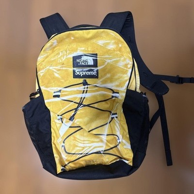 Supreme x The North Face