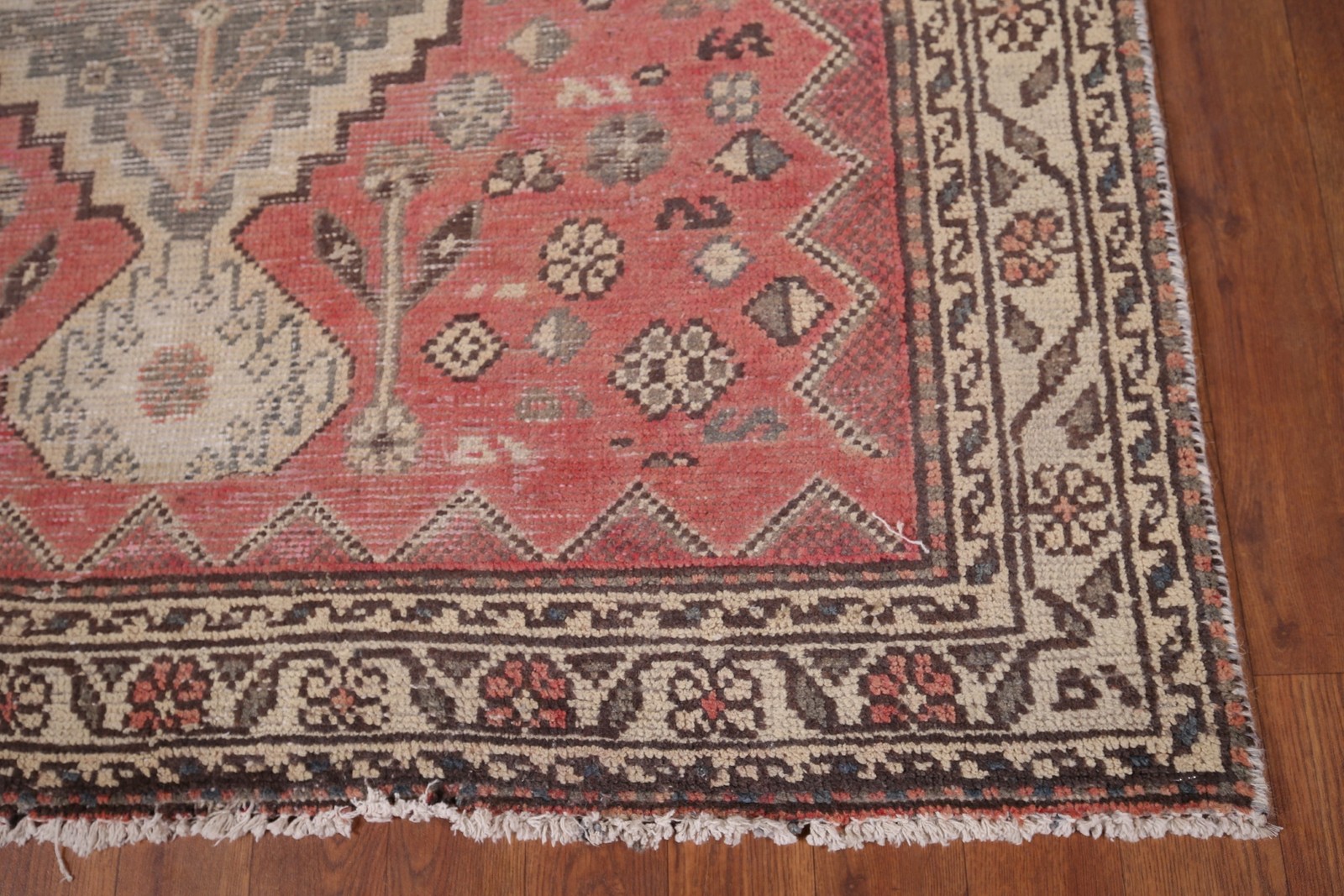 Picture 5 of 18