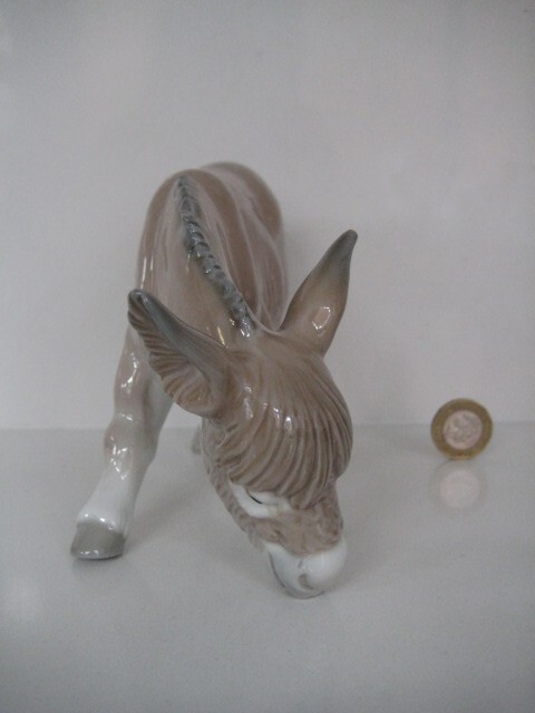 Picture 5 of 15