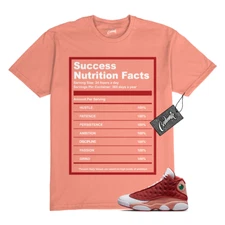 13 Dune Red Terra Blush Dunk T Shirt to Match SUCCESS Jordan