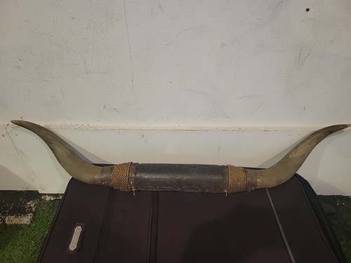 Vintage Bull Horns , Decor, Wall display, Western Decor
