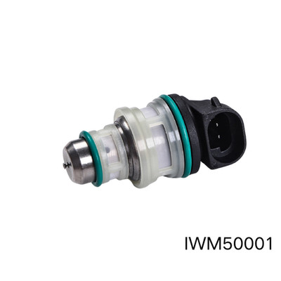 Automotive Fuel Injector IWM50001 501.002.02 46429476