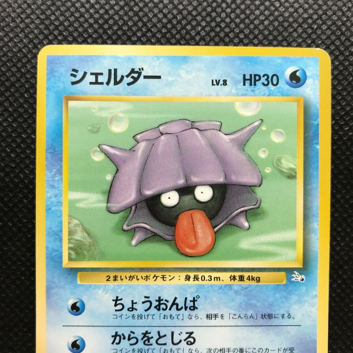 世界54枚 PSA10 シェルダー shellder カードe 385 Amazon.com: Pokemon - Shellder (54) - Fossil : Toys & Games
