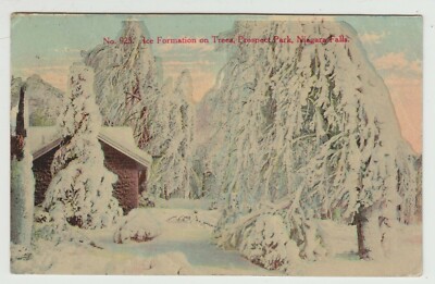 Ice Formation On Trees, Niagara Falls, NY, Pre-Linen  Postcard