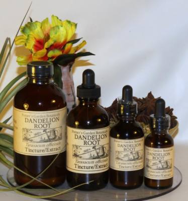 DANDELION ROOT Extract anemia cleanse depression superfood SPRING FOLK Tincture