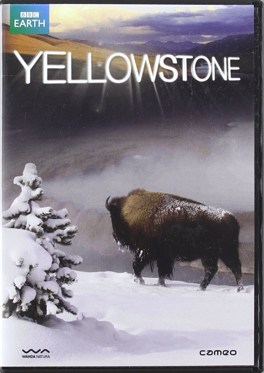 YELLOWSTONE: LA SERIE COMPLETA