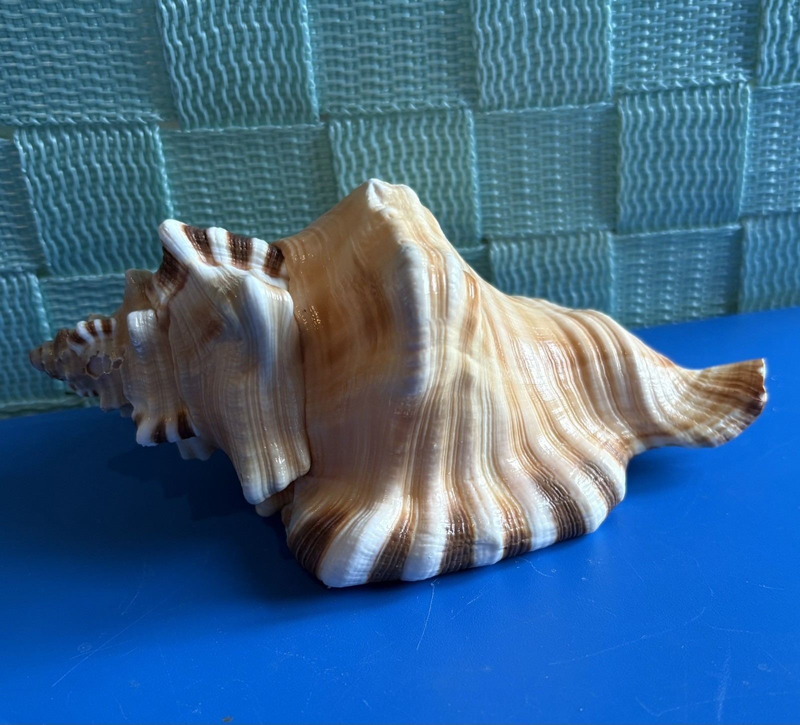 Picture 4 of 6