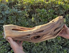 Manzanita Driftwood Trunk Reptile Aquascape Terrarium 1 Piece Large 23"