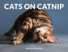 Cats on Catnip - Hardcover By Marttila, Andrew - VERY GOOD