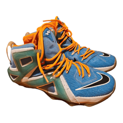 LeBron XII Elite Elevate Men display picture 1