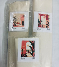 Paint By Number. beginers set of 3. Desert building  plants. with paint  brush