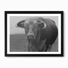Untitled Photo, Possibly Related To Framed Wall Art Poster Canvas Print Picture