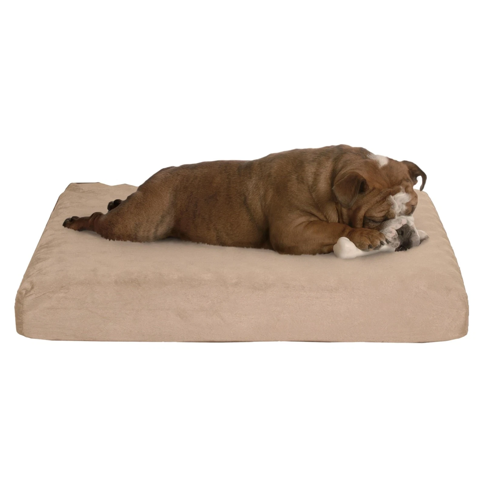 Memory Foam– 2-Layer Orthopedic Dog Bed with Machine Washable Cover - 26 x 19...