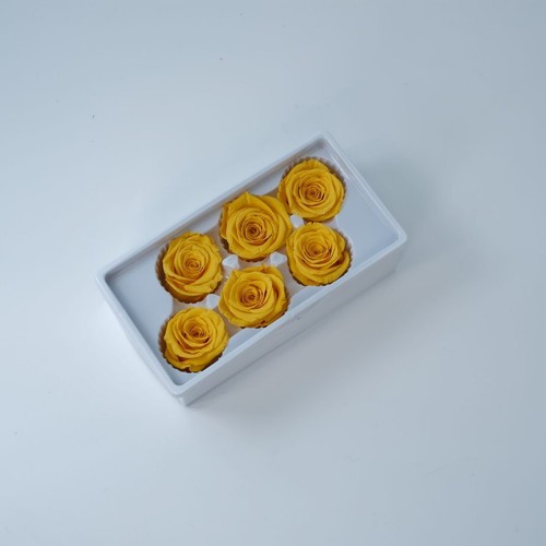 Preserved Rose FLower 6Pcs / Gift Box Head 5-5.5cm - Bild 56 von 73