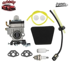 Carburetor 300486 Air Filter 3004156 For Earthquake 43cc Engine E43 E43CE
