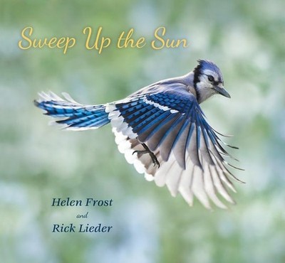 Sweep Up the Sun (Step Gently, Look Closely) by Frost, Helen,Rick Lieder, Accept