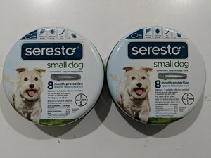 my dog has a very dry nose