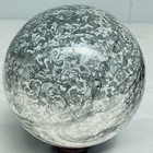 Natural Insectconch fossil crystal Ball Quartz Crystal Sphere Reiki Healing2820G — photo 1