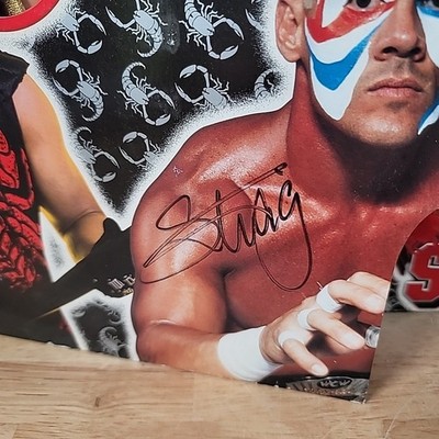 ToyBiz WCW The Evolution of Sting Wrestling Action Figures Set