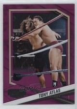 2025 Panini Combat Anthology Purple 17/125 Tony Atlas #14 9et