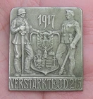 WW1 Cap Badge for Reinforced Infantry Division #215 Dated 1917 Astro-Hungarian